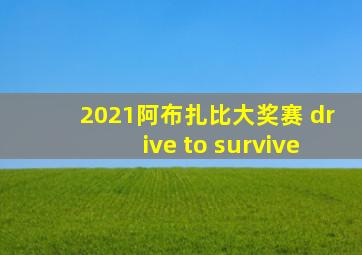 2021阿布扎比大奖赛 drive to survive